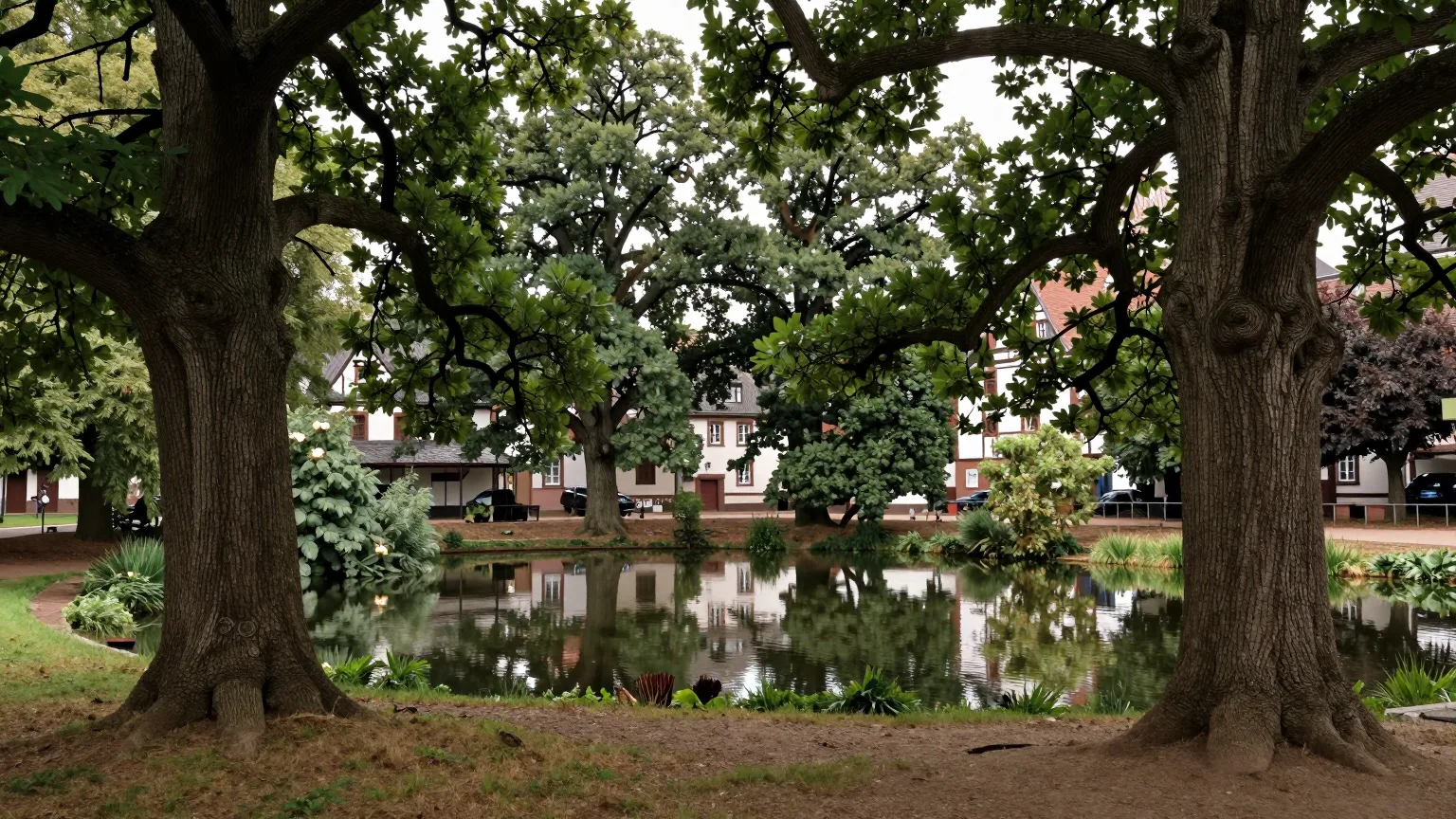 Alter Baumbestand und Teich in einem ruhigen Park