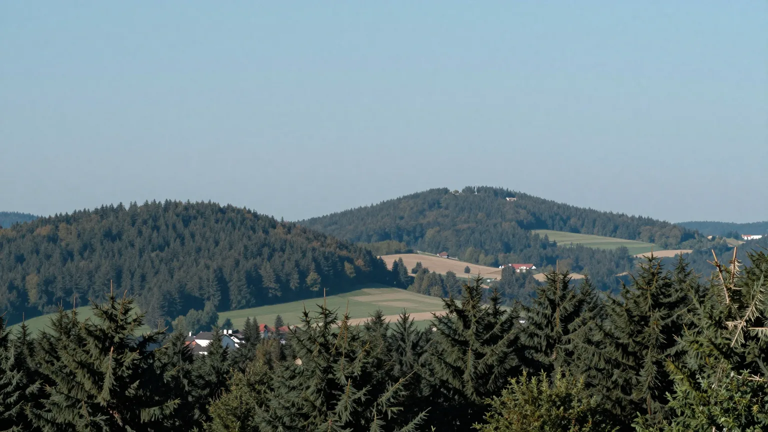 Waldkuppe über Feldern im Dunst