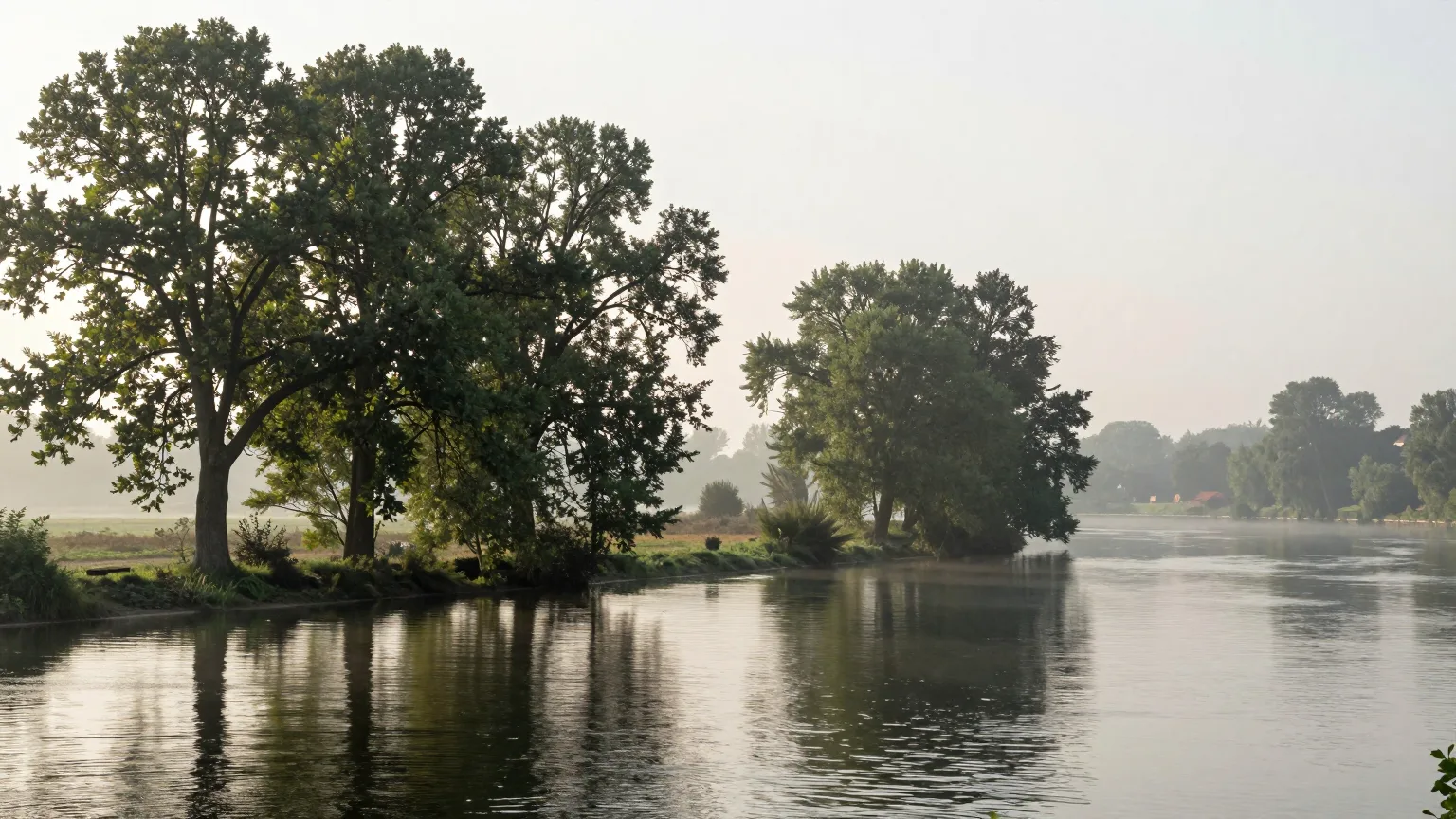 Große Bäume am ruhigen Fluss im Dunst