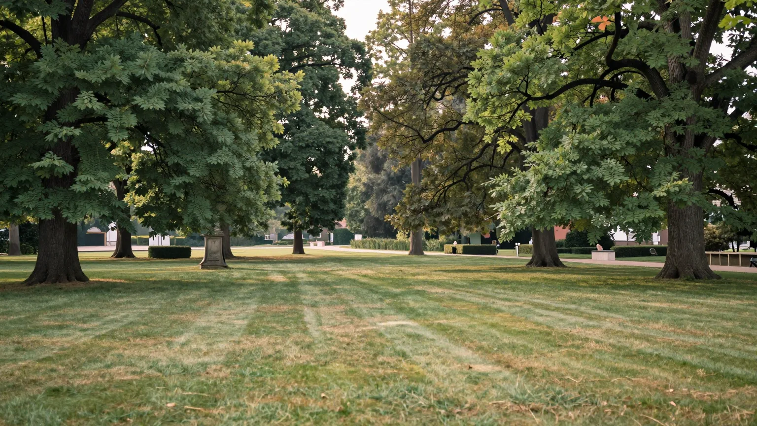 Breite, gepflegte Rasenfläche zwischen alten Bäumen in einem ruhigen Park