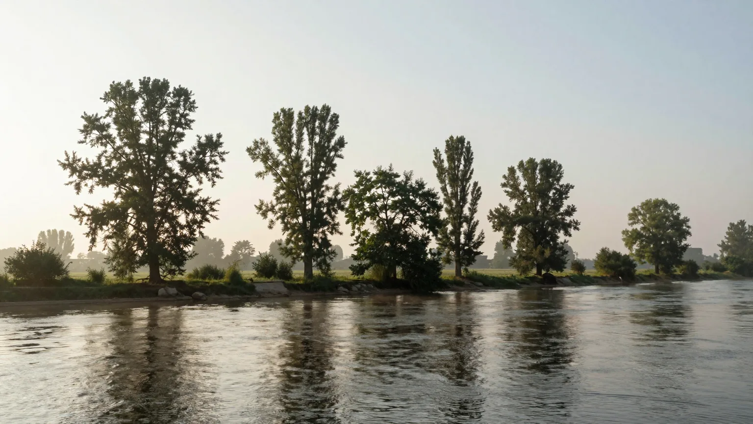 Baumallee über grünen Feldern