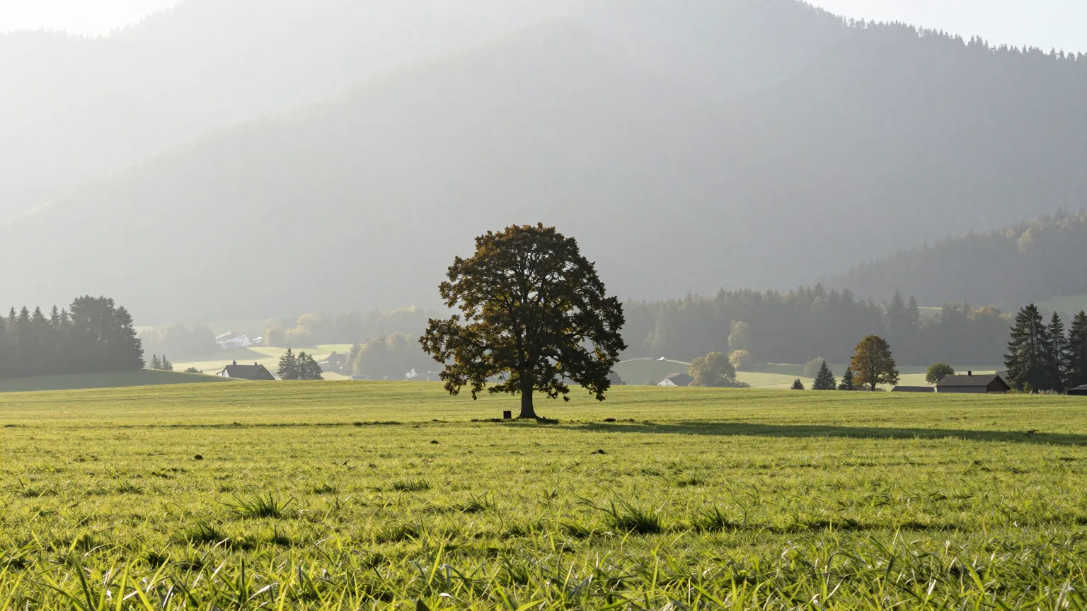 Wiese mit Baum vor Hügel