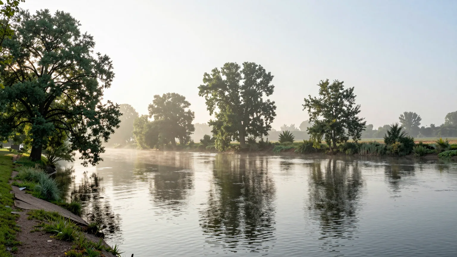 Fluss mit Bäumen am Ufer