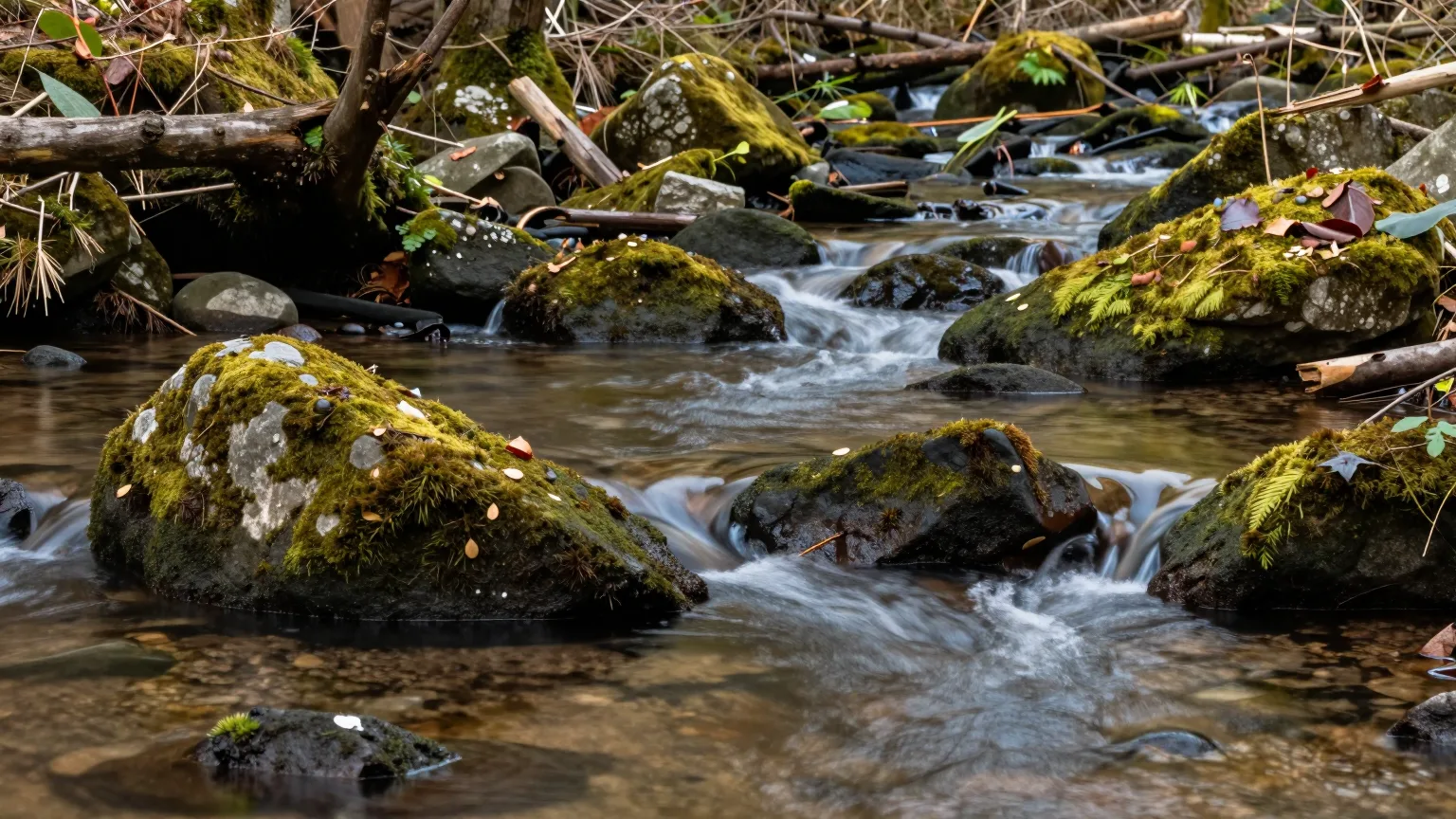 Bachlauf durch Wald