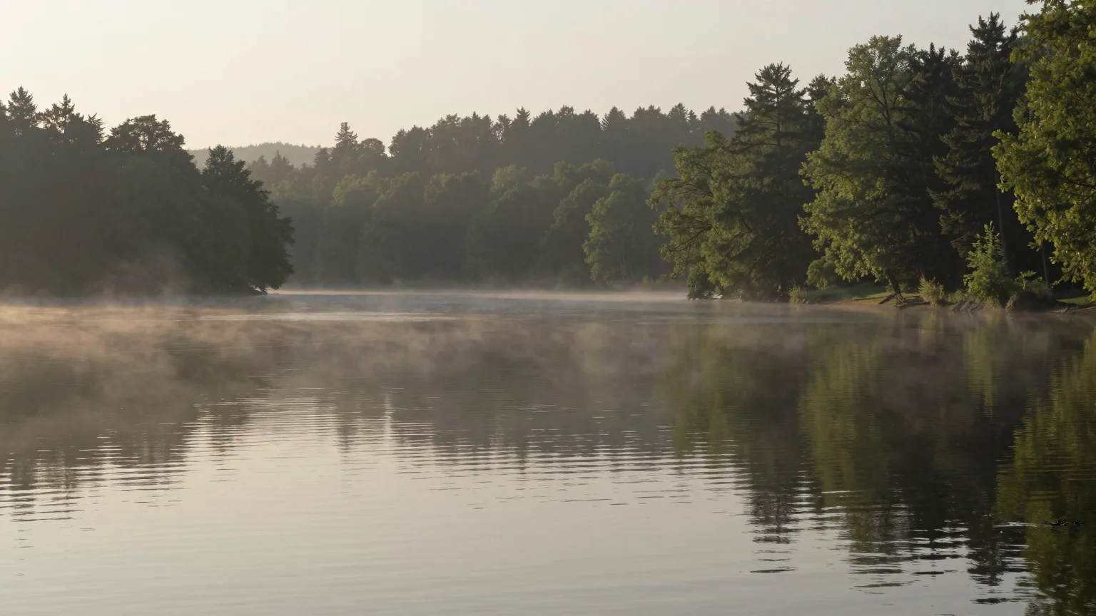 Waldsee im Nebel, Spiegelung der Uferbäume