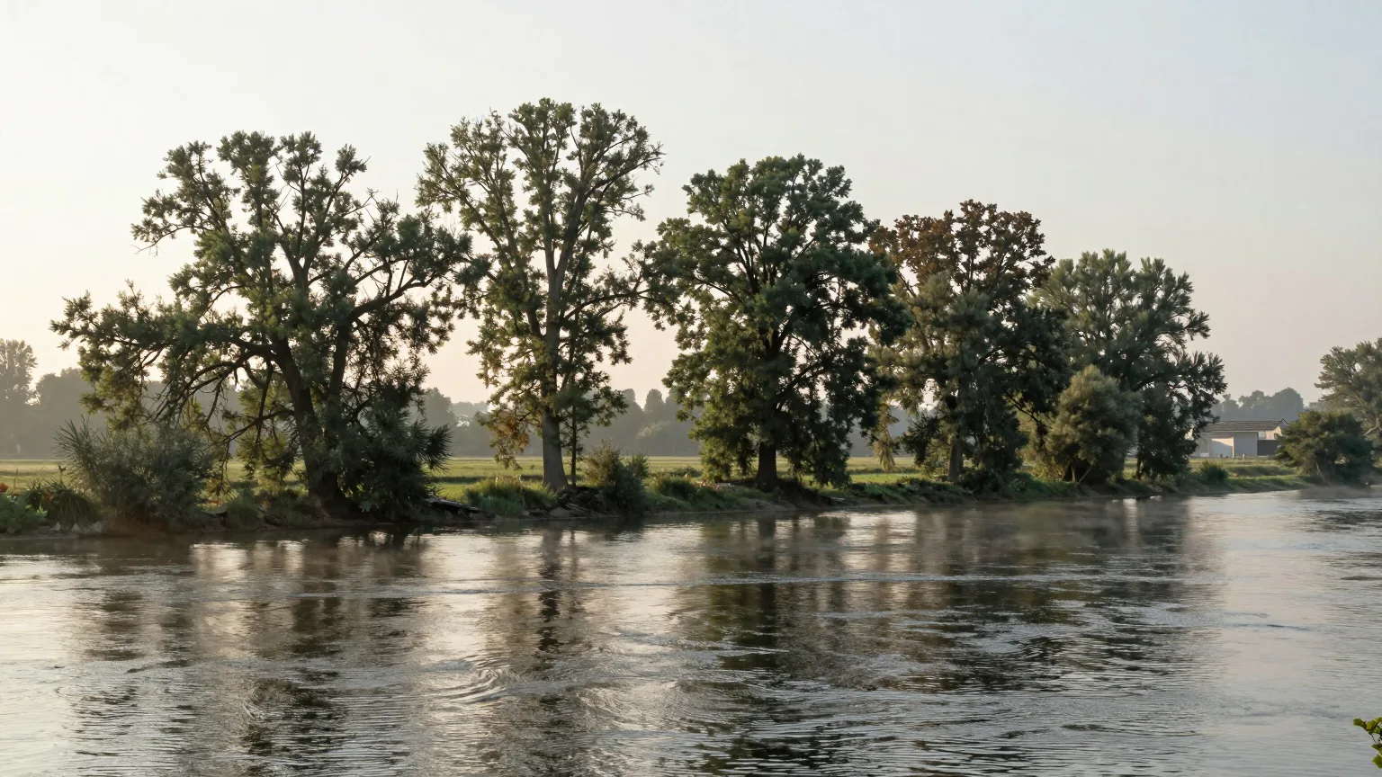 Flussufer mit Bäumen