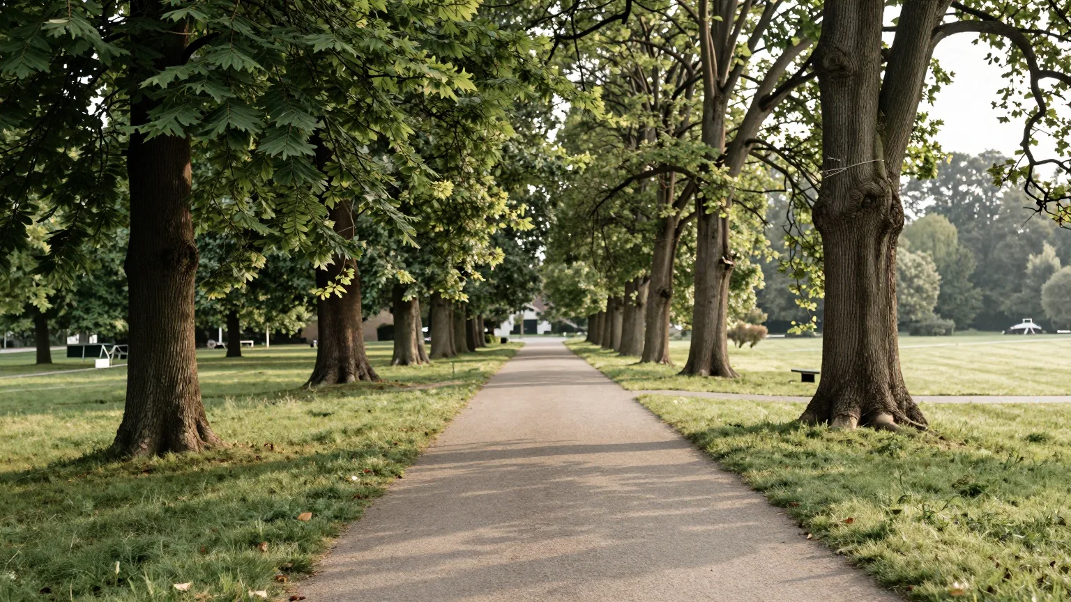 Breite Allee aus Bäumen mit einem ebenen Weg in der Mitte, warmes Licht