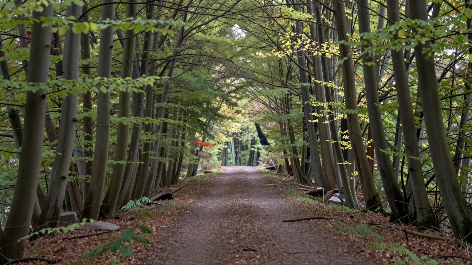 Waldpfad zwischen Bäumen