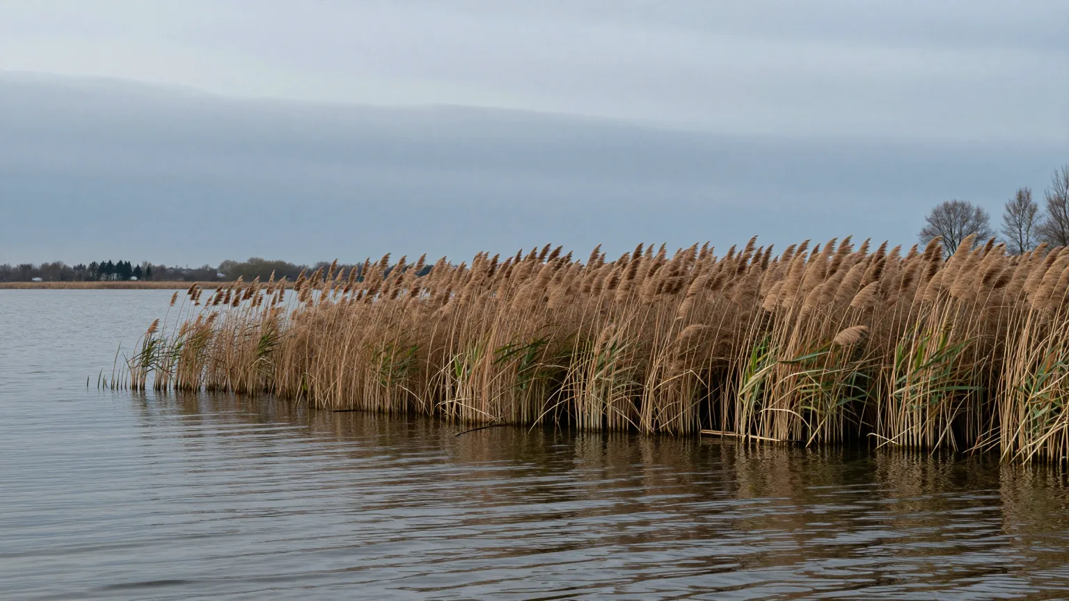 Stiller See mit Ufer in Abendstimmung