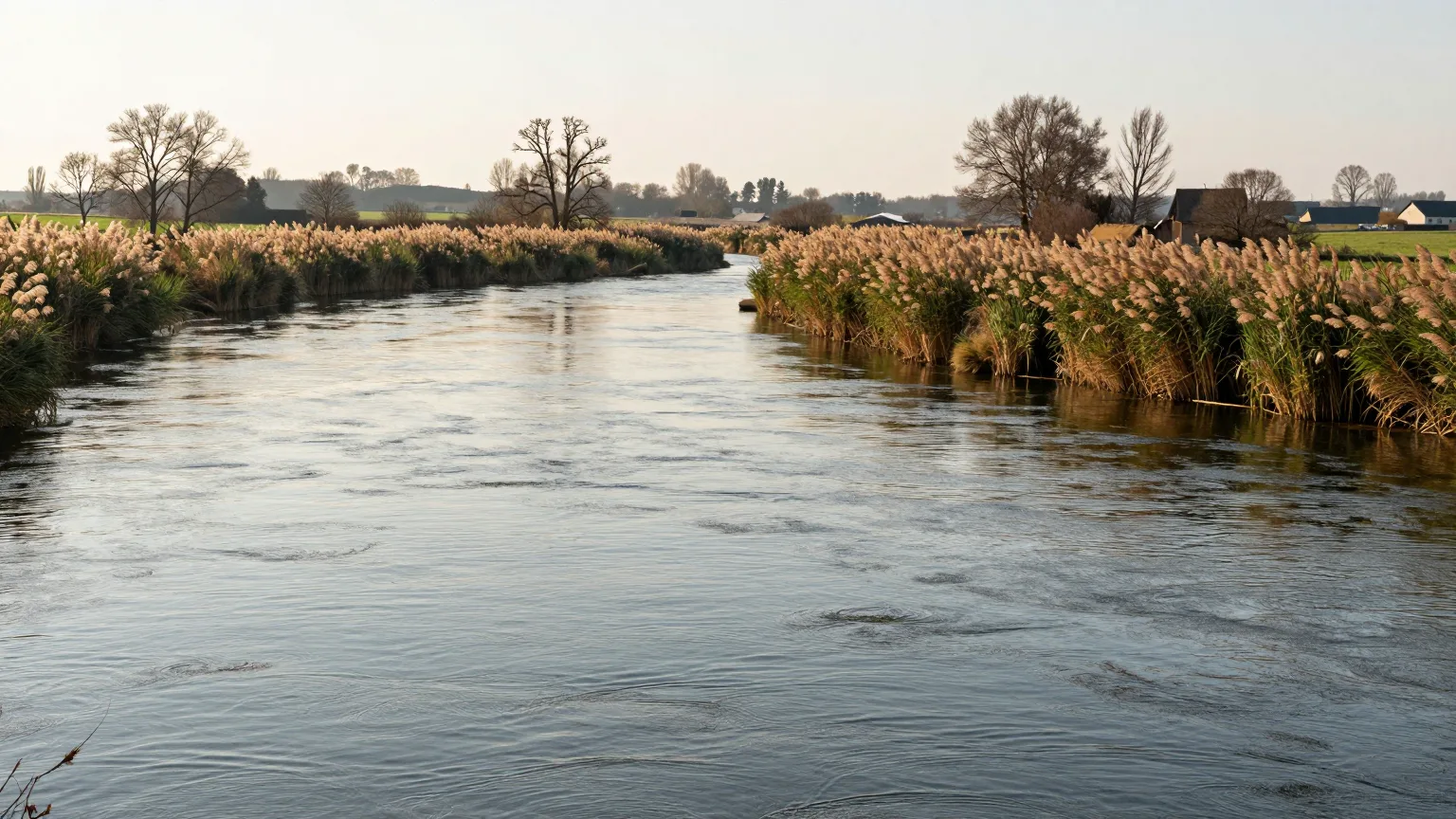 Ruhriges Flussufer in weichem Abendlicht