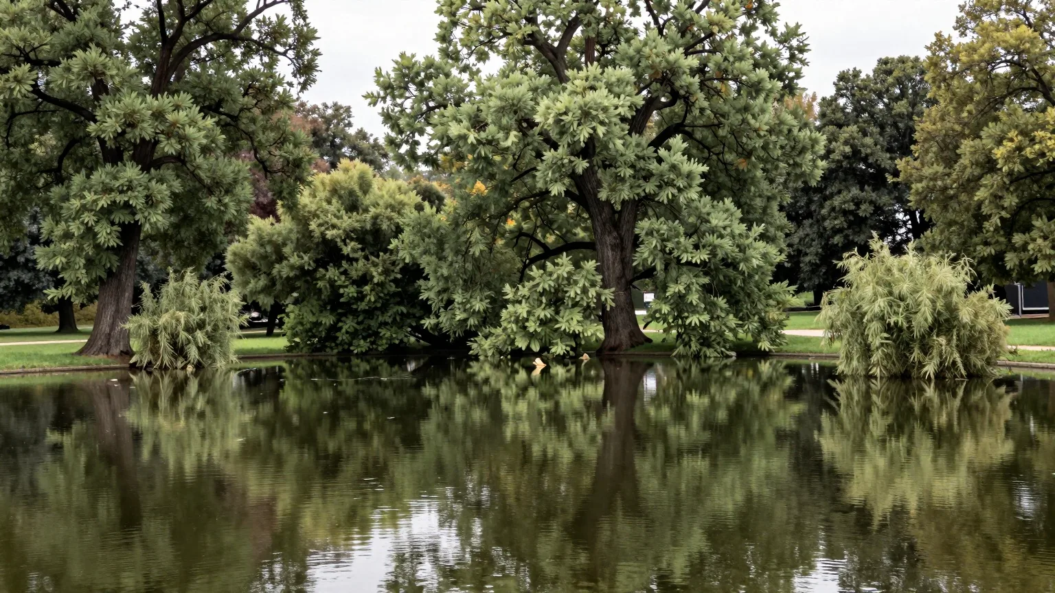 Teich im Park unter Bäumen