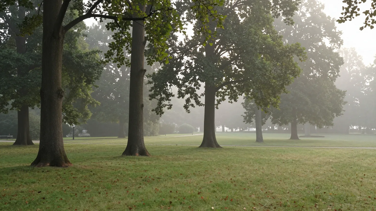 Parkwiese mit Bäumen