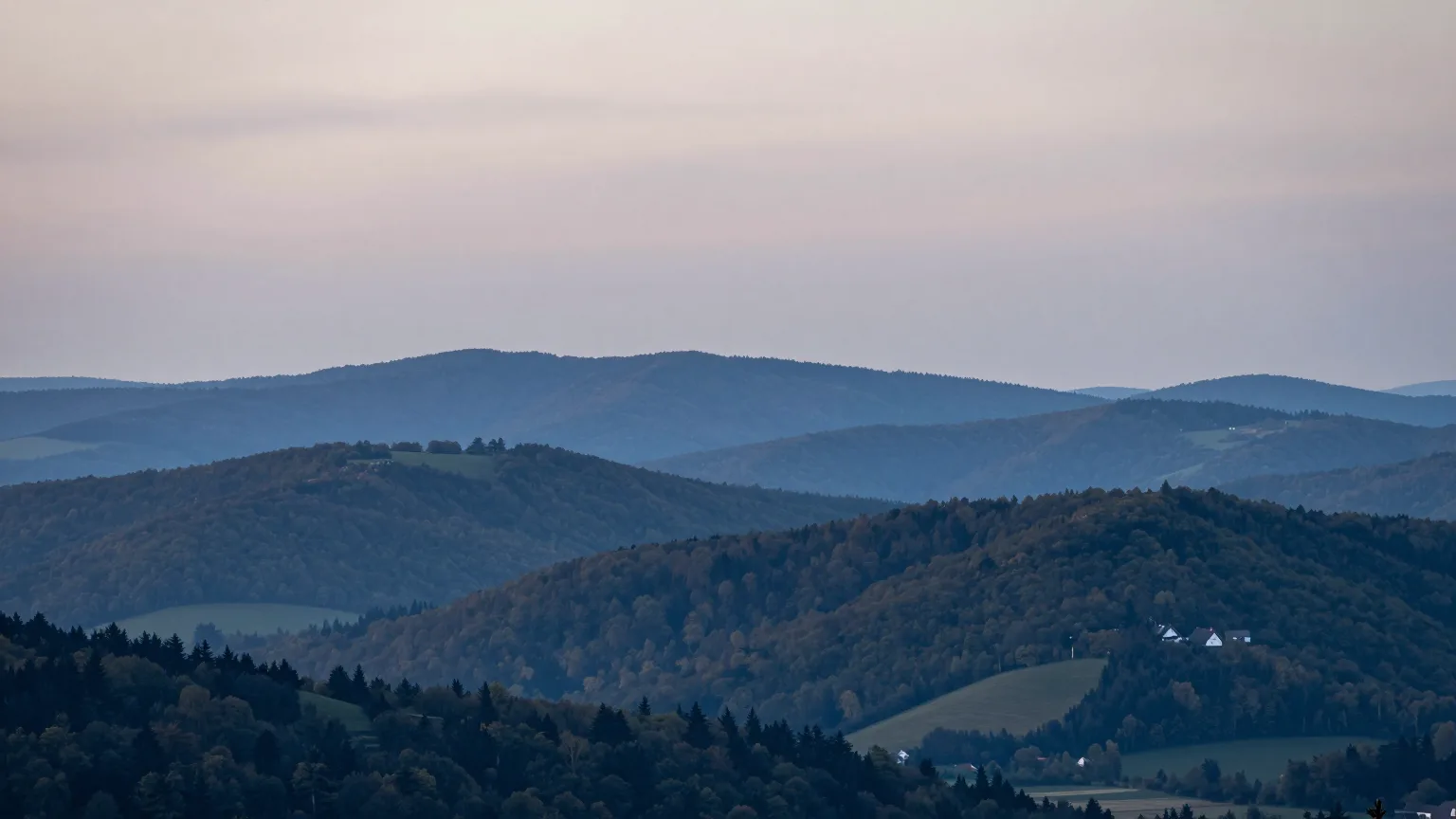 Wald über Hügeln