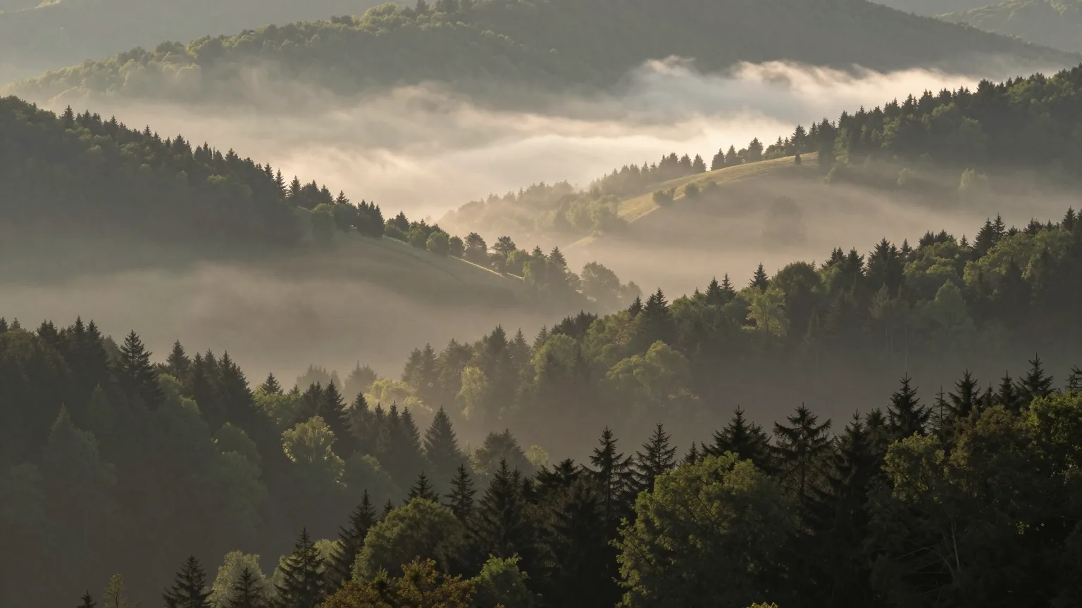 Tal mit bewaldeten Hängen
