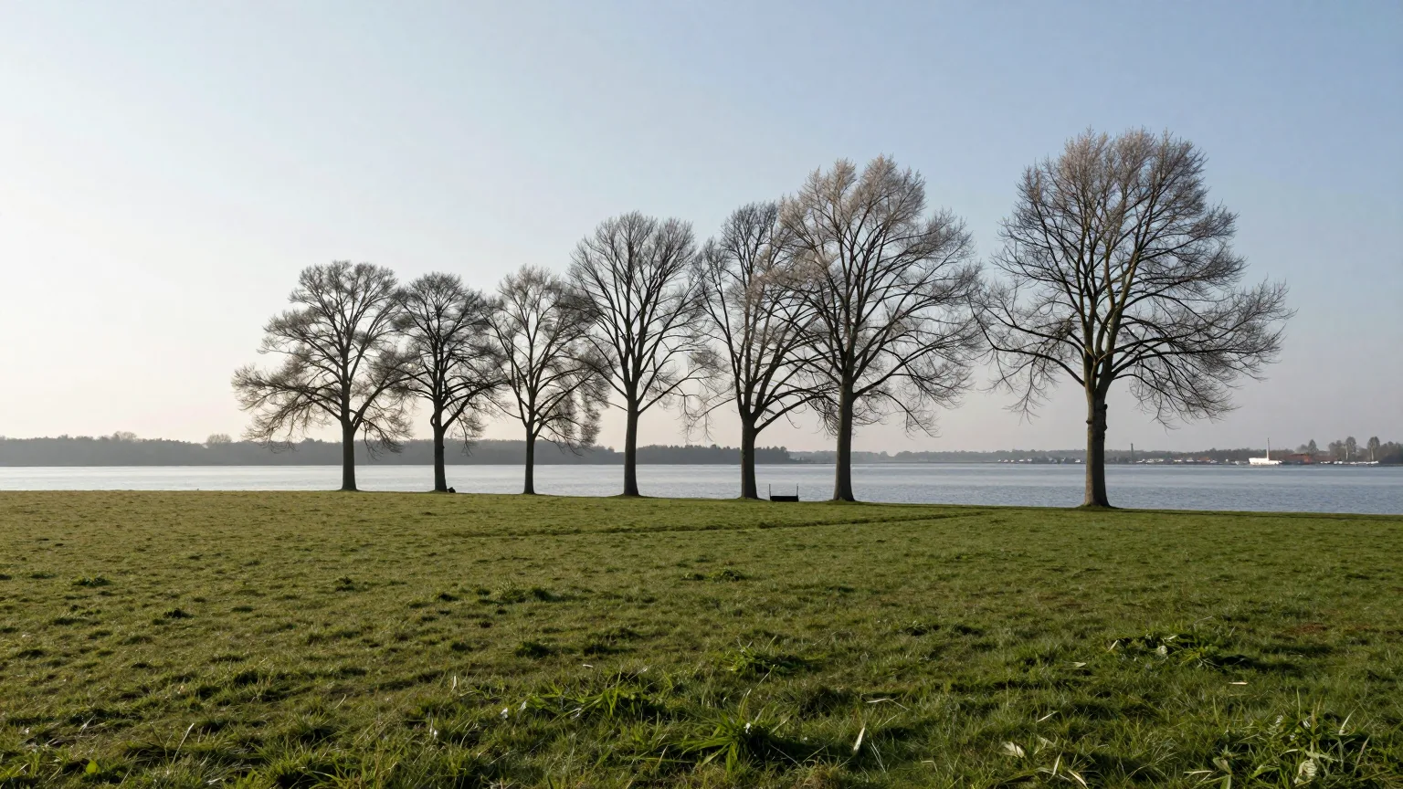 Uferpromenade mit Allee am See