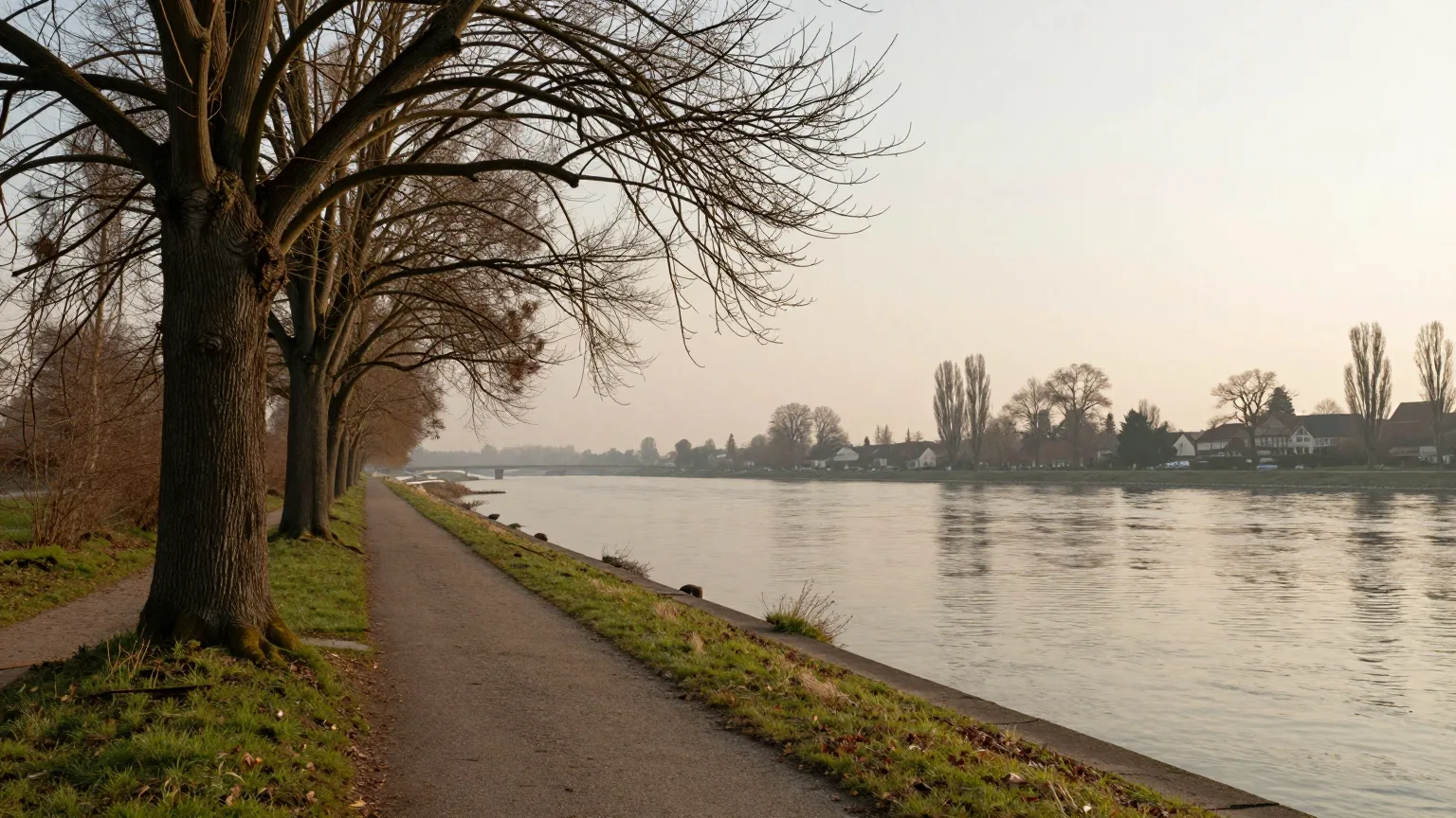 Baumallee an einem ruhigen Flussufer im warmen Morgendunst