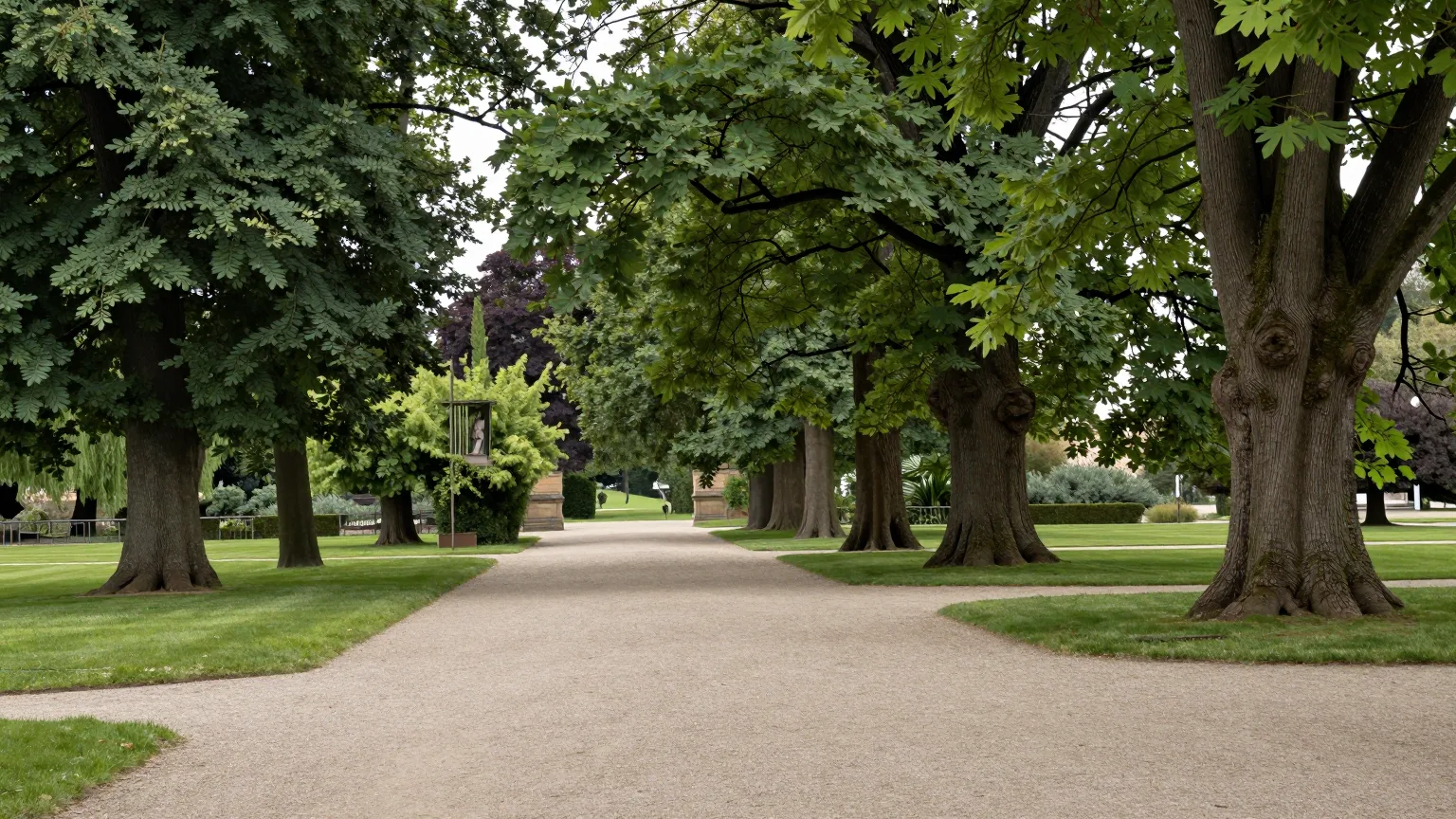 Park mit Baumallee