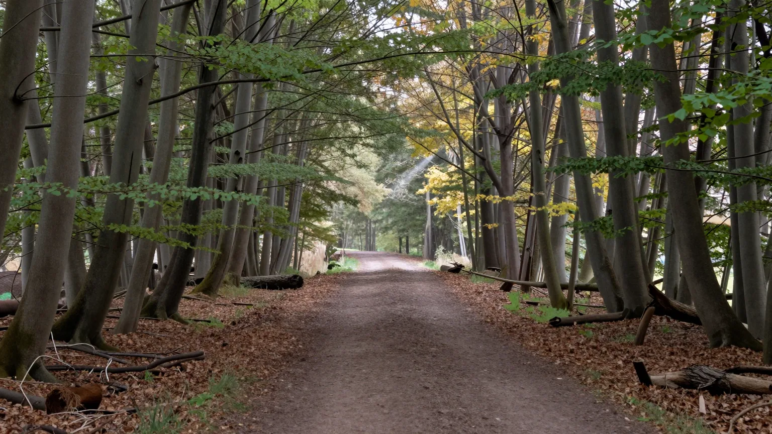 Waldpfad entlang einer Allee