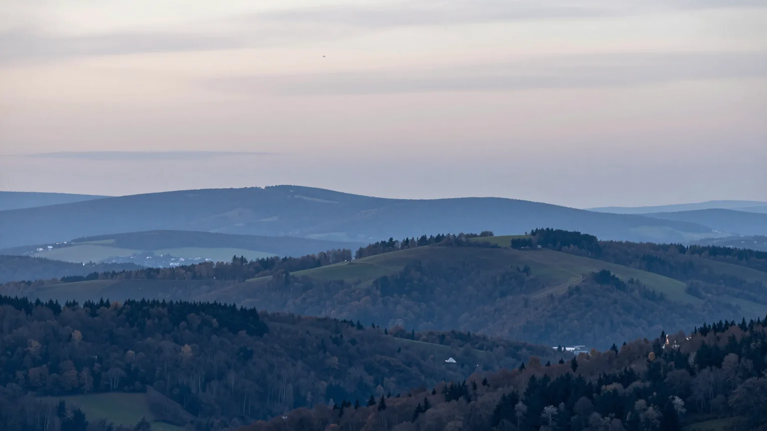 Wald über Hügeln und Tal