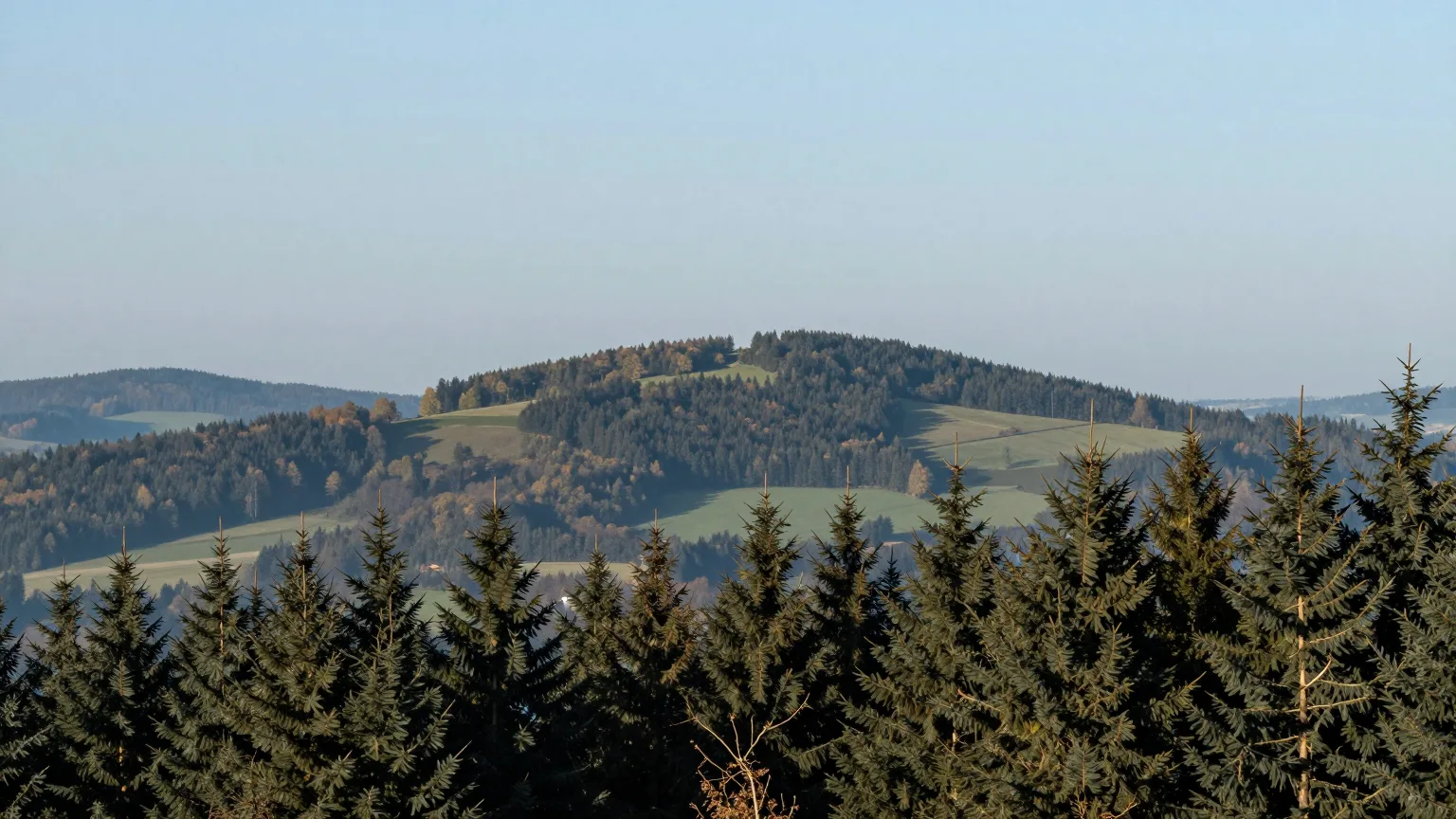 Hügellandschaft mit Wald