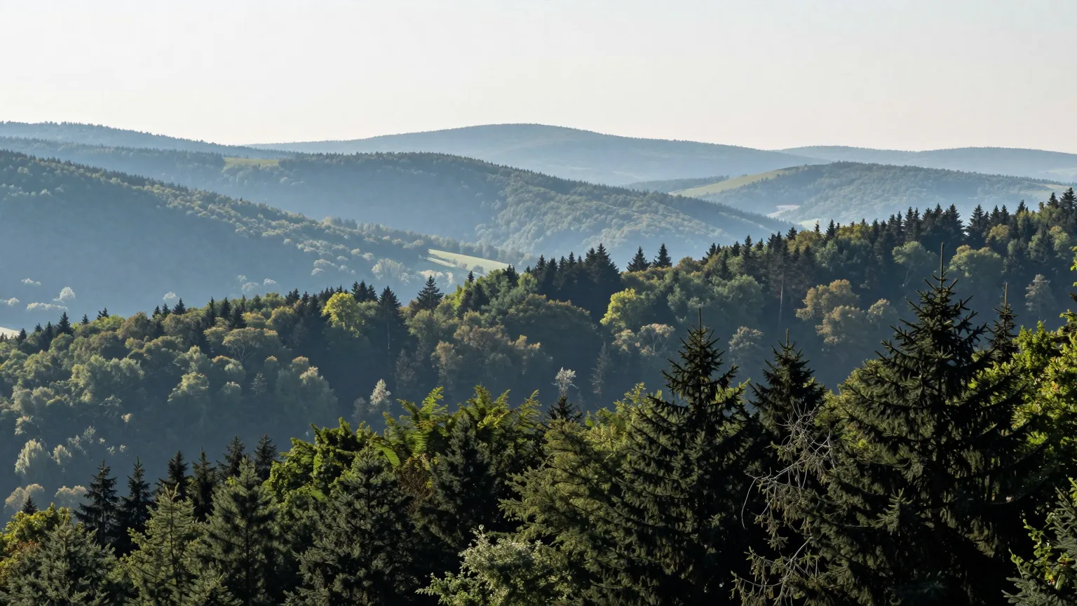Blick über Hügel und Wald bei Emmelshausen