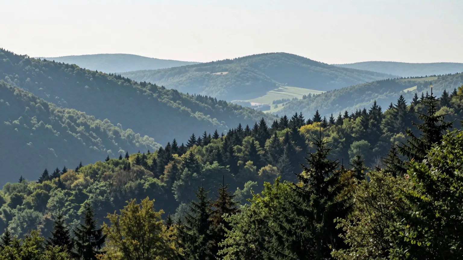 Hügel und Wald in der Region Euskirchen