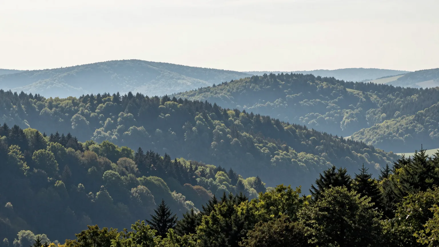 Hügellandschaft mit Wald bei Euskirchen