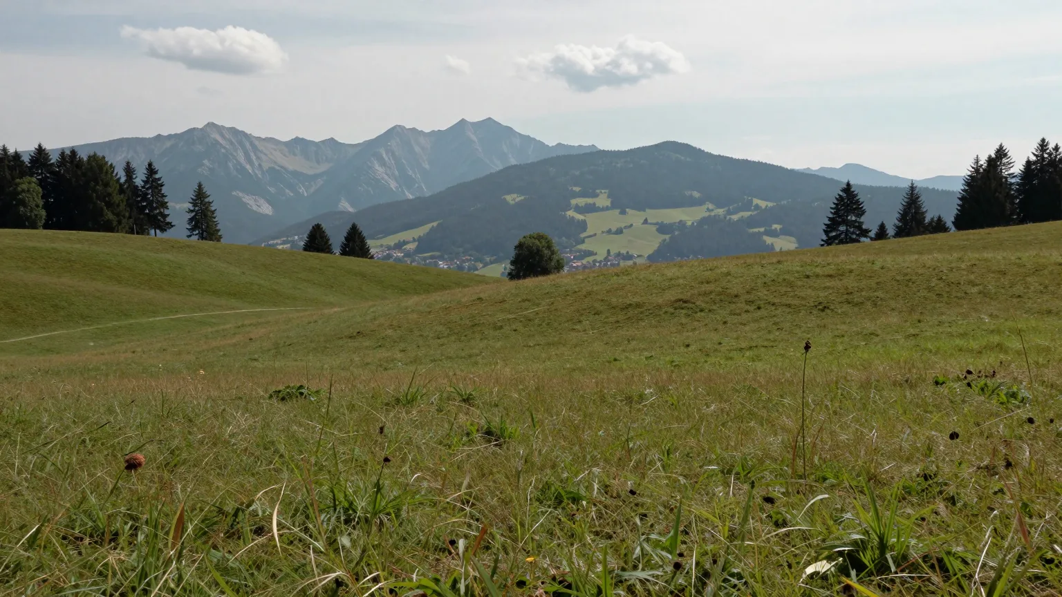 Wiesenhang mit Blick auf eine Bergkette im Dunst