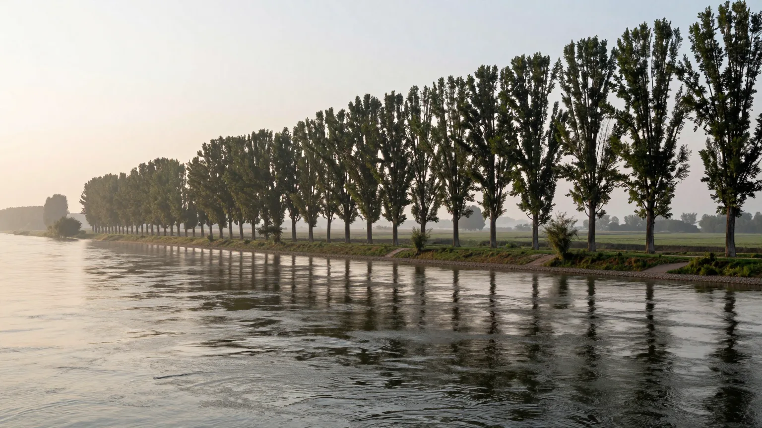 Baumallee an einem ruhigen Flussufer im Morgenlicht
