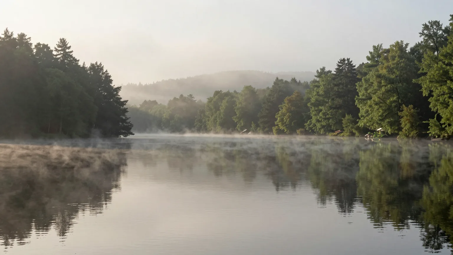 See mit Wald am Ufer, Stimmungsbild aus der Region