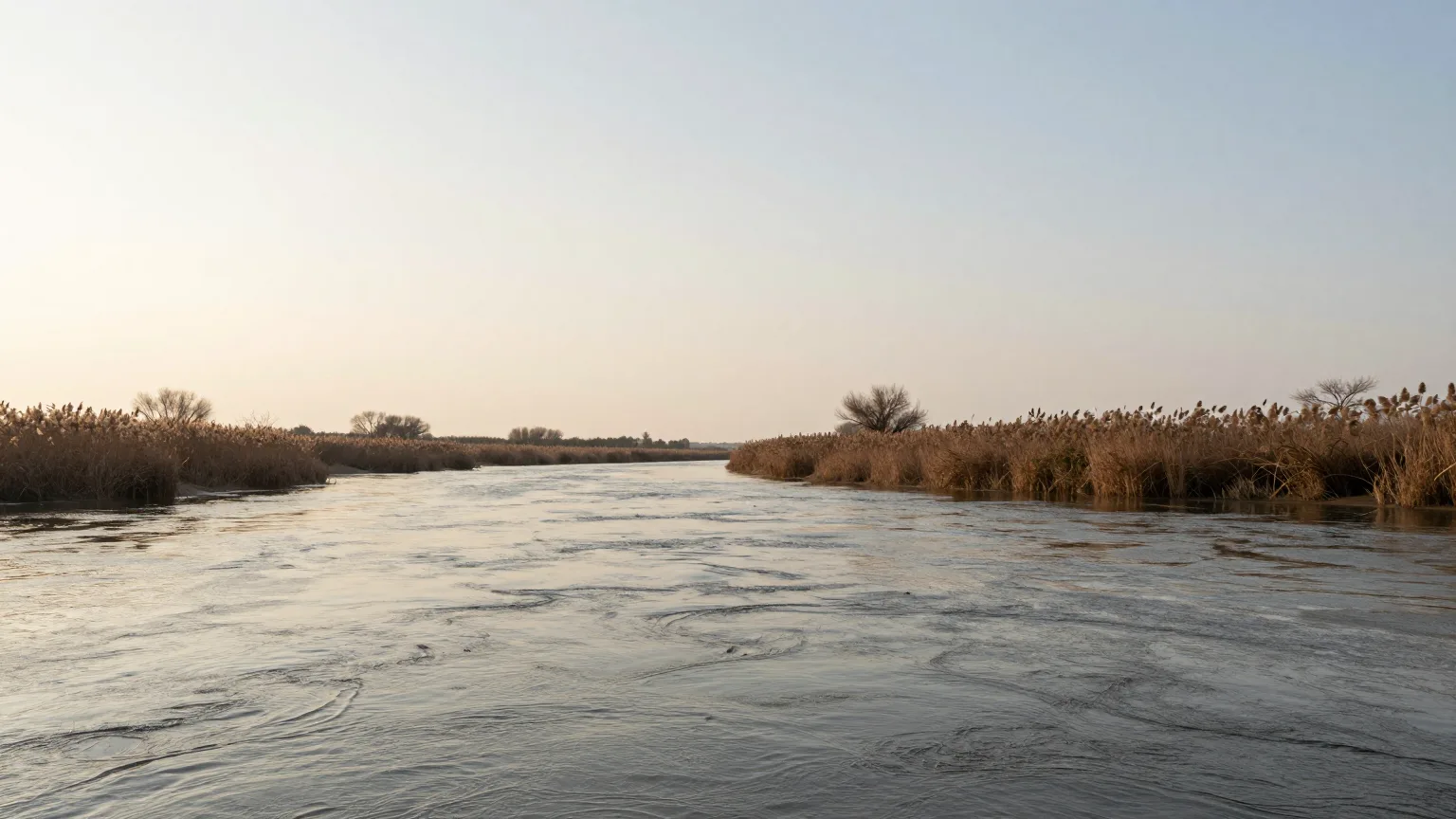 Ruhiger Flusslauf zwischen Schilfufern im weichen Morgenlicht