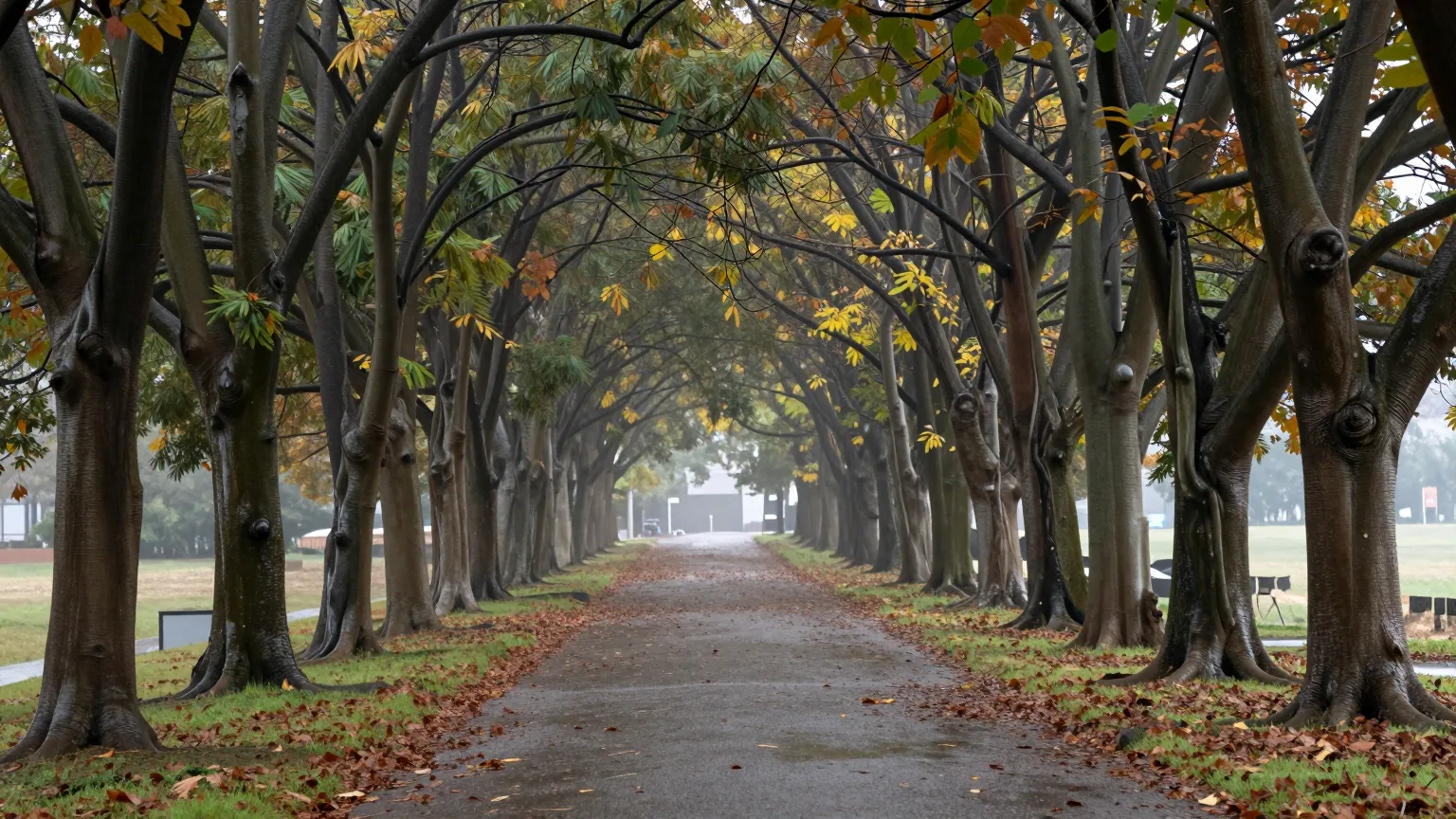 Herbstliche Allee, deren Baumkronen einen Tunnel über dem Weg bilden