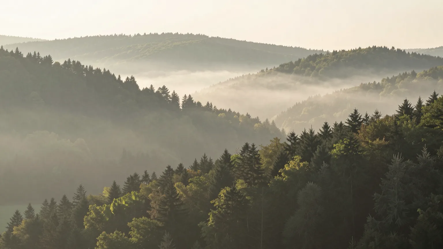 Wald, Hügel und Tal in der Region Gießen