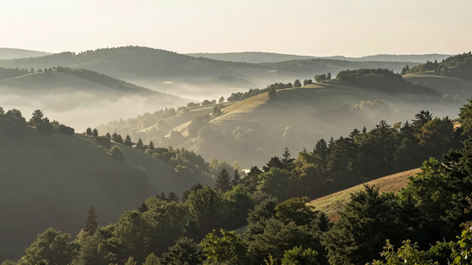 Hügel, Wald und Tal in der Region Gießen