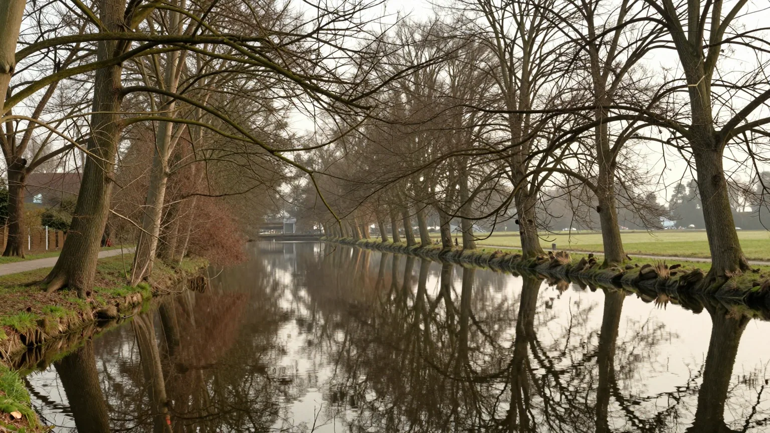 Kanal und Allee bei Ludwigsfelde