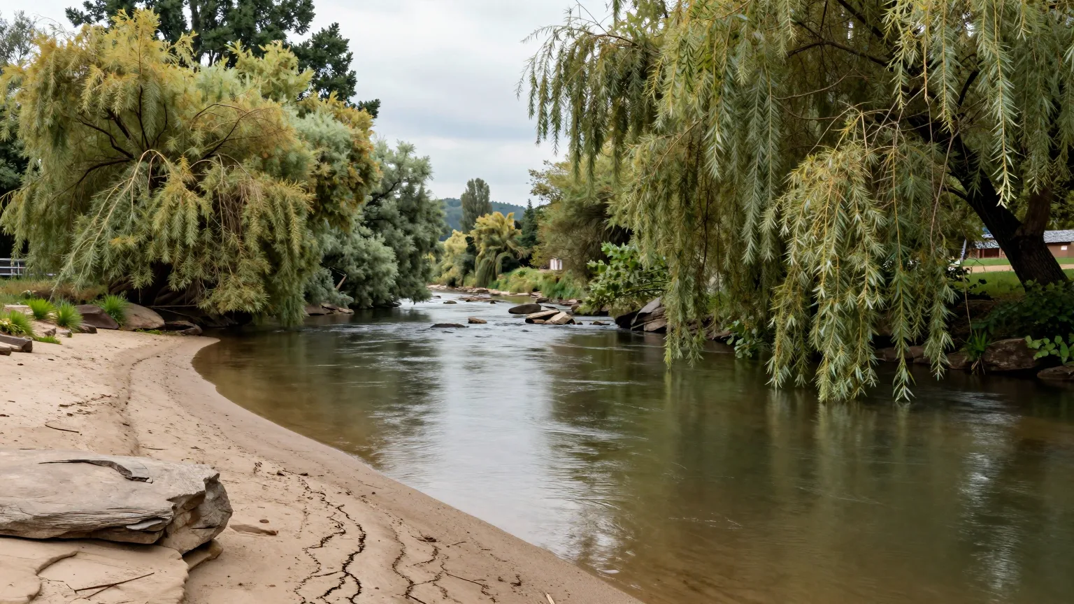 Fluss mit Bäumen am Ufer bei Schweinfurt