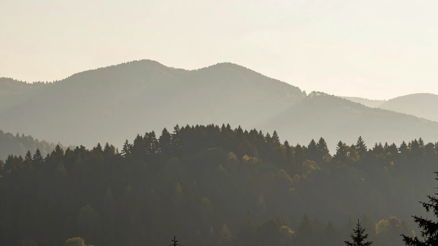 Wald und Hügel in der Region Schweinfurt