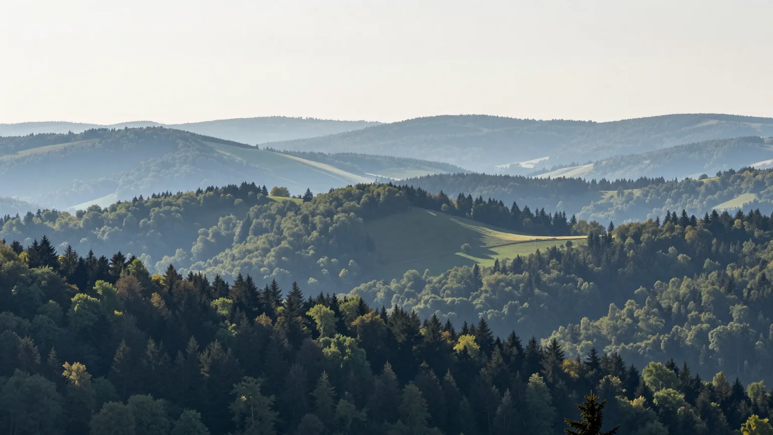Wald, Hügel und Tal bei Bergisch Gladbach