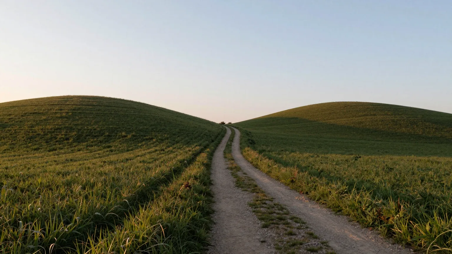 Feldweg zwischen sanften Hügeln im Abendlicht