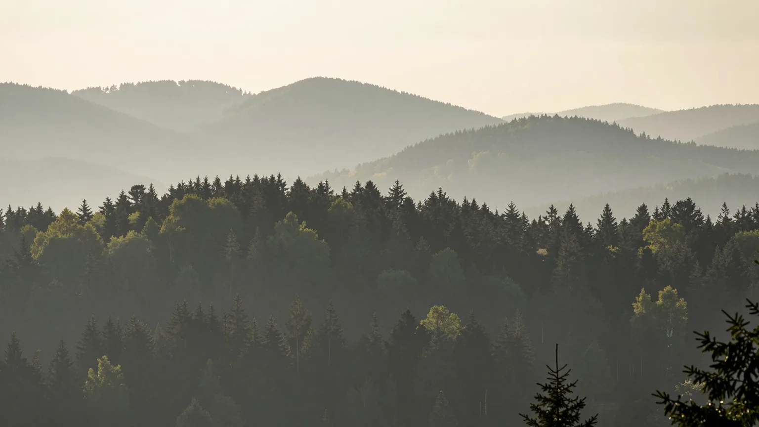 Hügel, Wald und Tal bei Mühlhausen