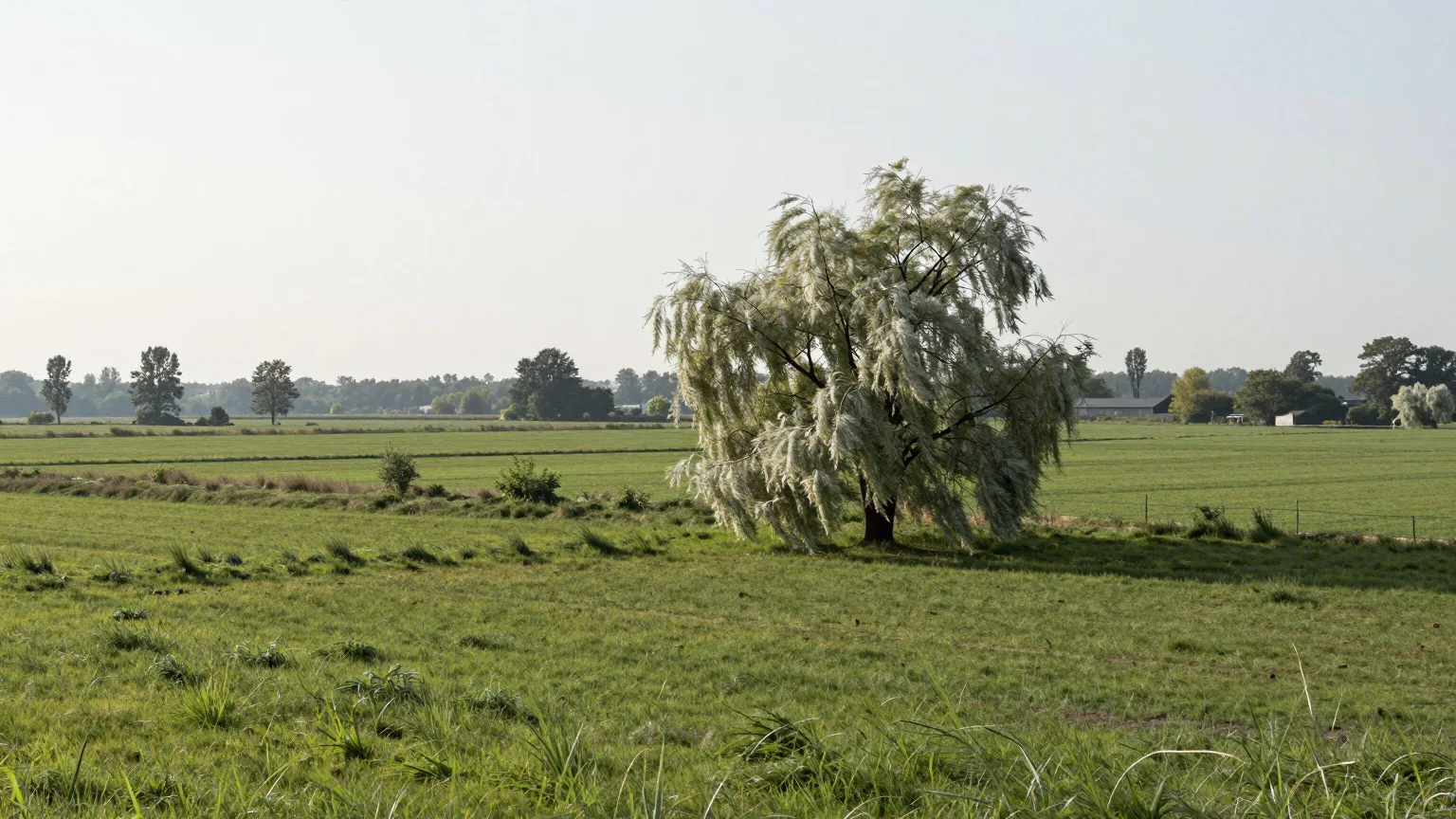 Landschaft bei Coesfeld