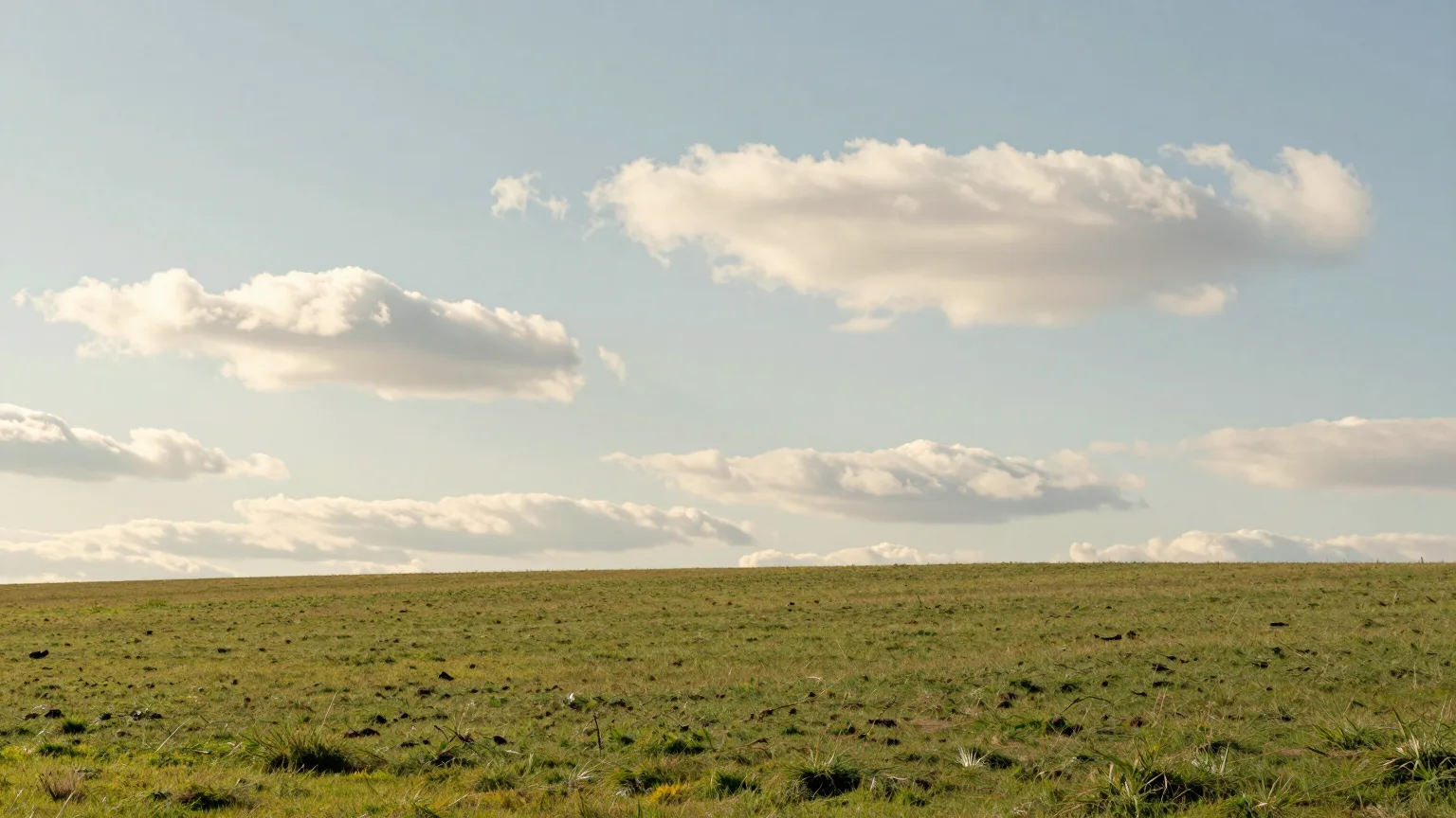 Landschaft bei Oldenburg