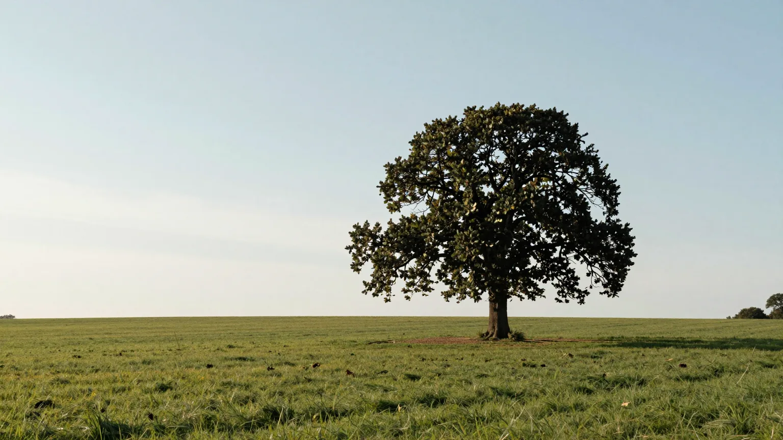 Landschaft bei Laage