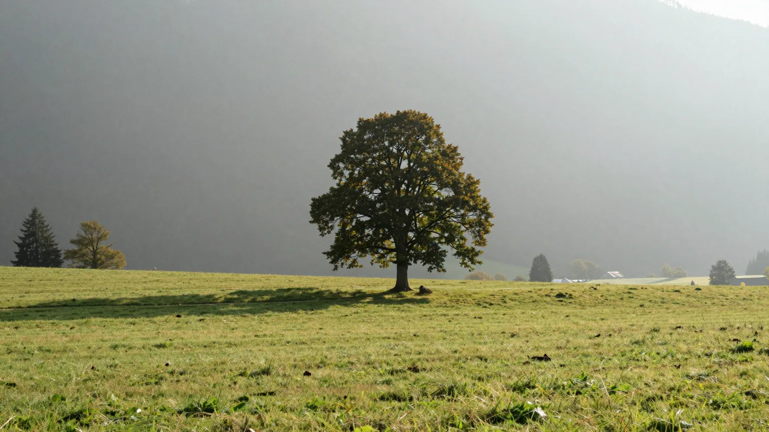 Landschaft bei Penzberg