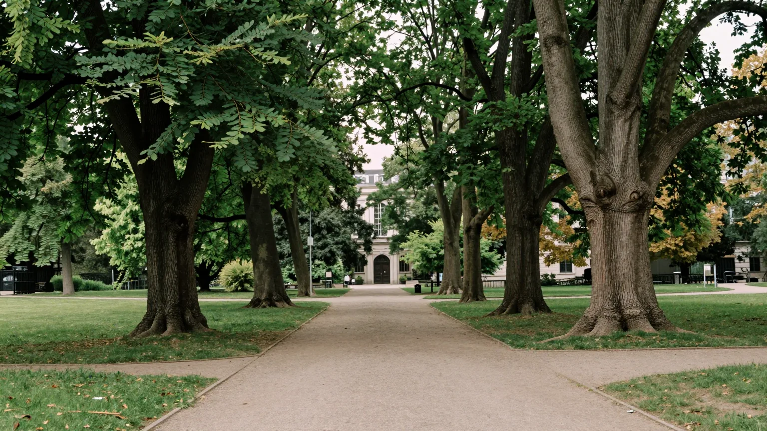 Allee großer Bäume in einem Park, ein Weg führt auf ein Gebäude zu