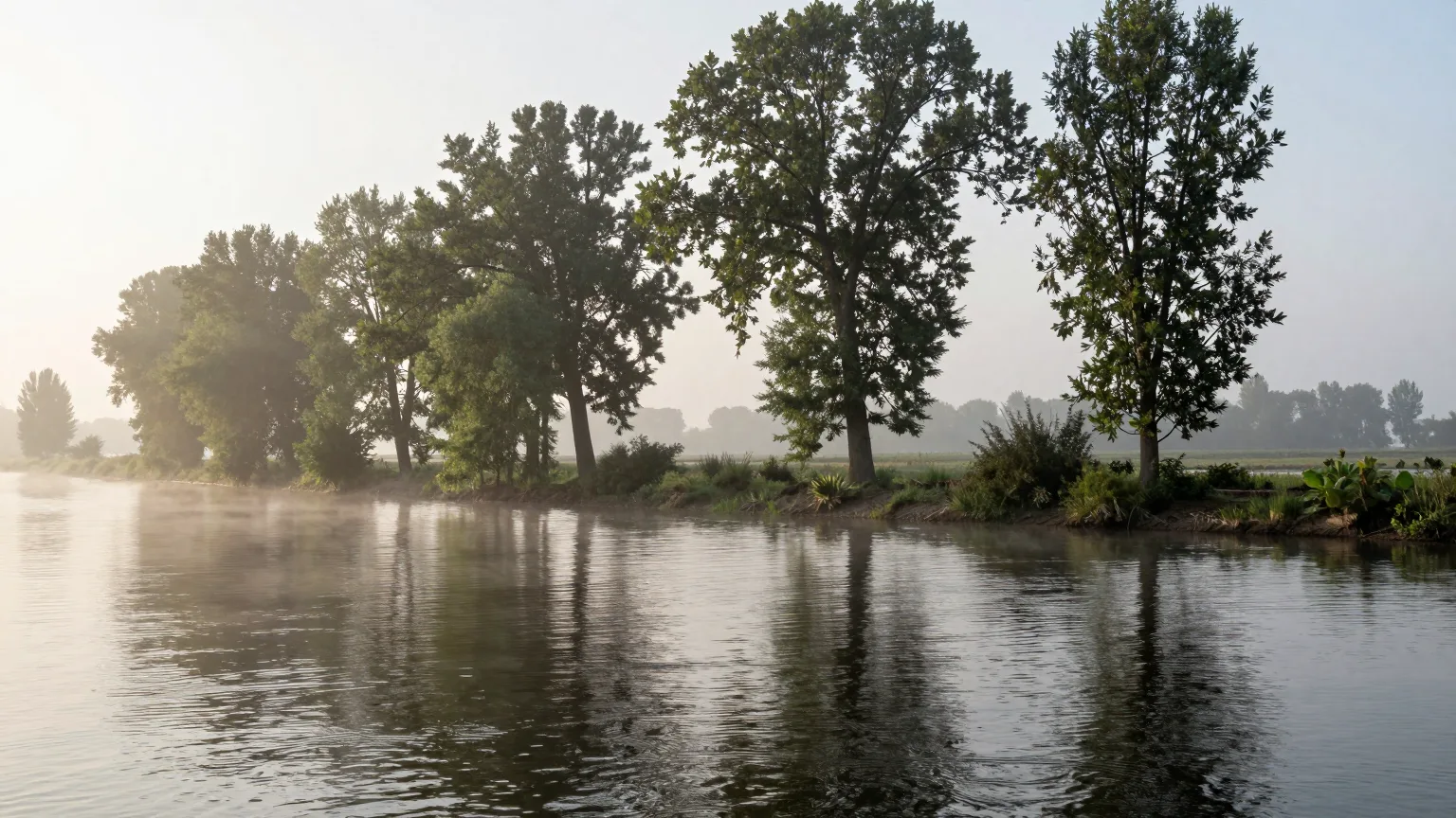 Flussufer mit Bäumen, Nebel über dem Wasser