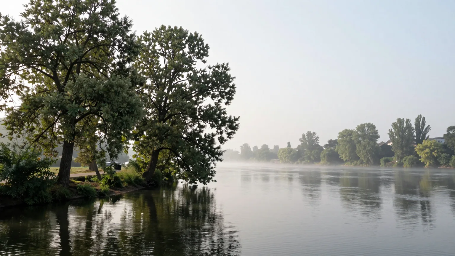 Ein großer Baum am Ufer eines stillen Flusses, leichter Nebel über dem Wasser