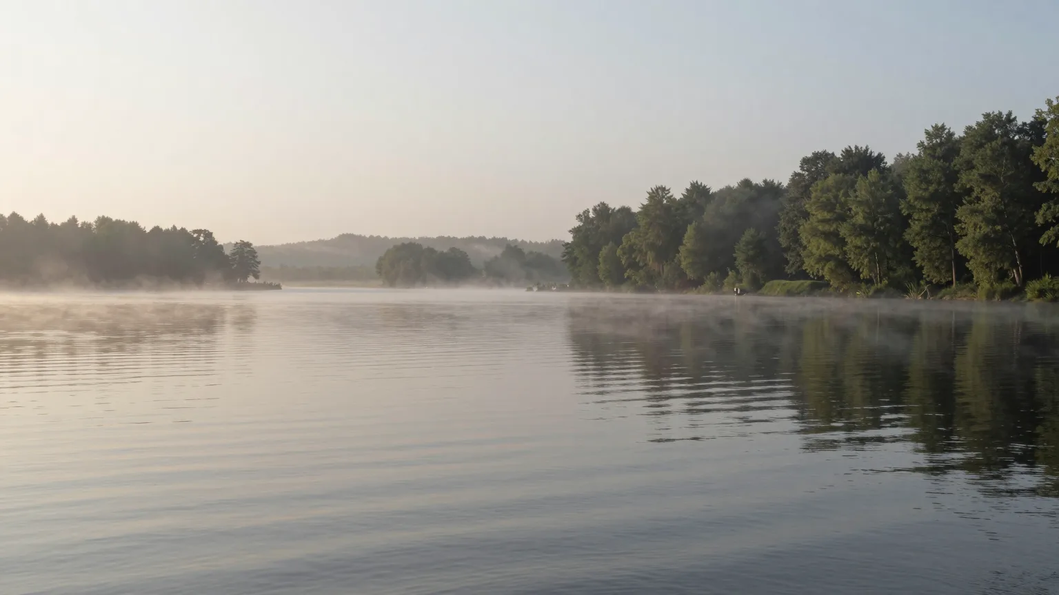 Ruhige Wasserfläche im Morgennebel mit bewaldetem Ufer